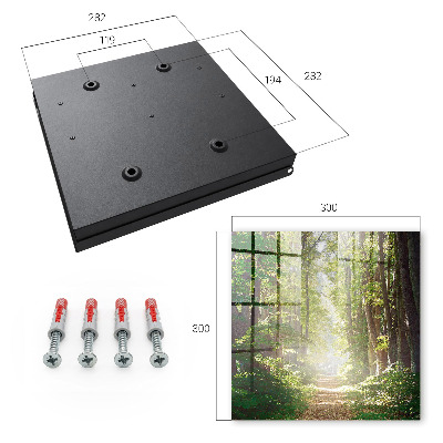 Key box Forest landscape