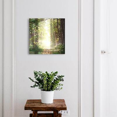 Key box Forest landscape