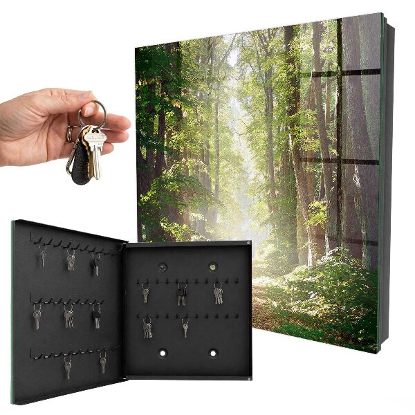 Key box Forest landscape