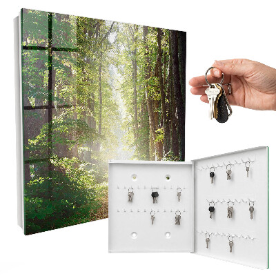 Key box Forest landscape