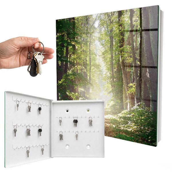 Key box Forest landscape