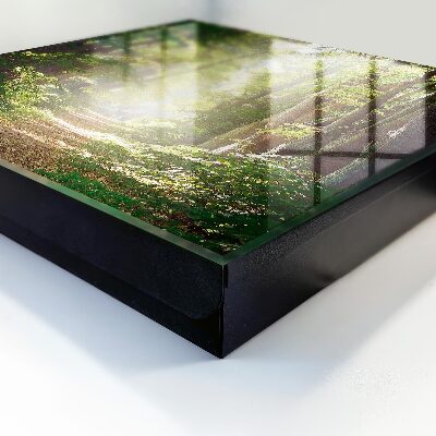 Key box Forest landscape