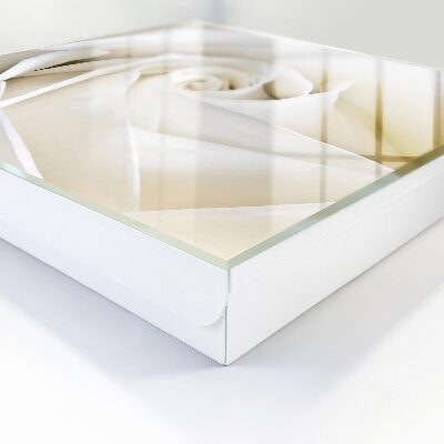 Key cabinet for wall White rose