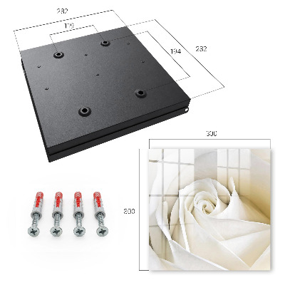 Key cabinet for wall White rose