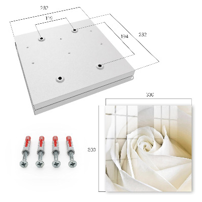 Key cabinet for wall White rose