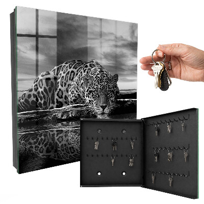 Key box Jaguars in the water