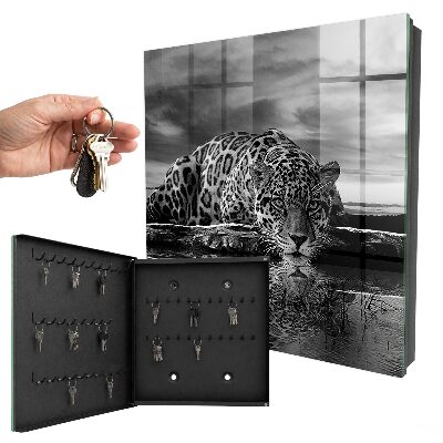 Key box Jaguars in the water