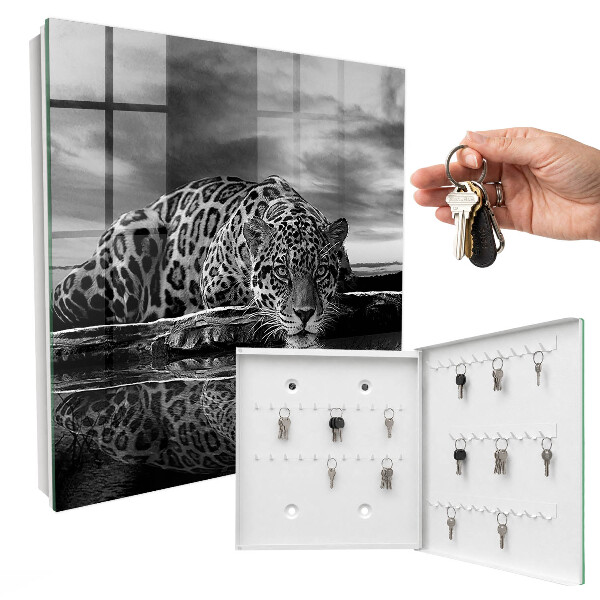 Key box Jaguars in the water
