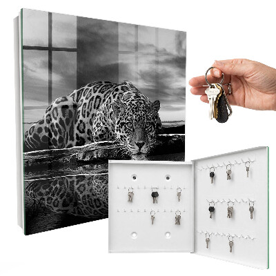Key box Jaguars in the water
