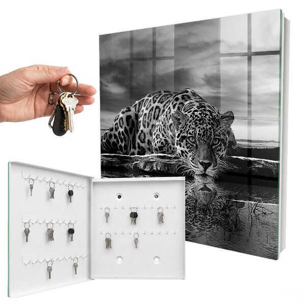 Key box Jaguars in the water