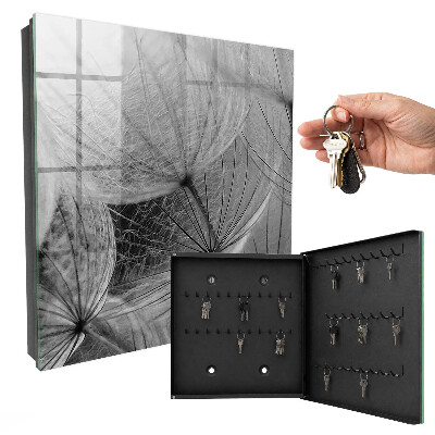 Key storage box Dandelion seeds