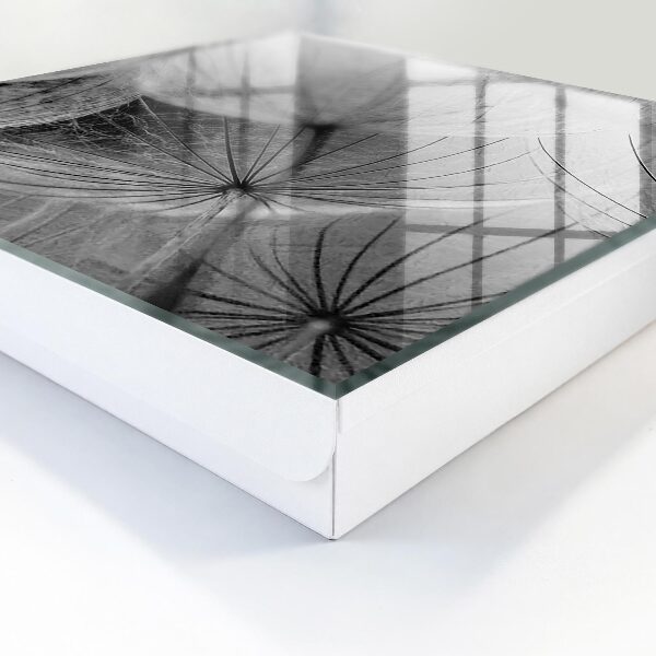 Key storage box Dandelion seeds