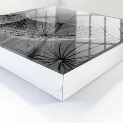 Key storage box Dandelion seeds