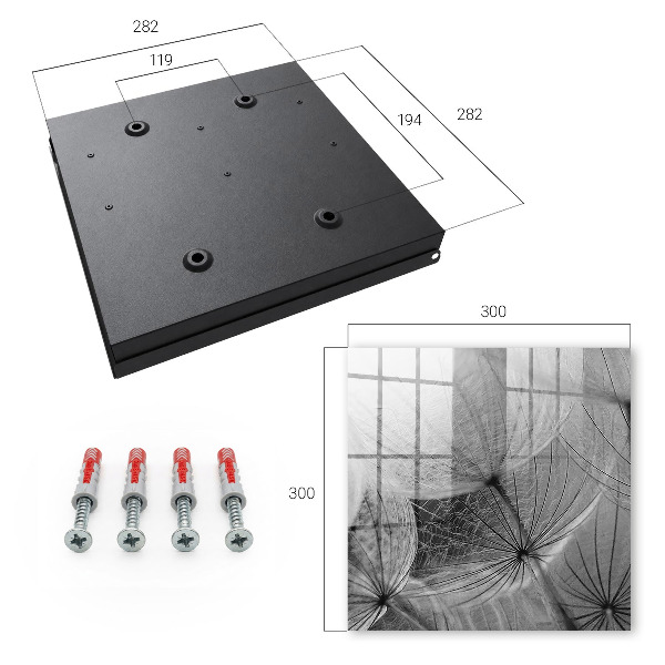 Key storage box Dandelion seeds