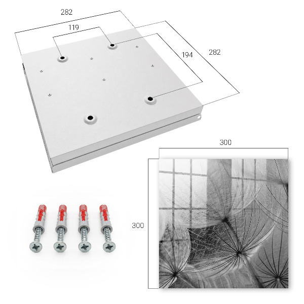 Key storage box Dandelion seeds
