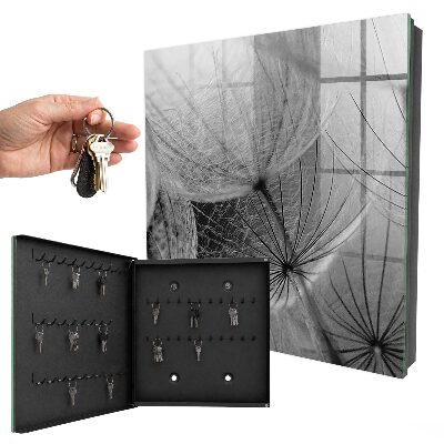 Key storage box Dandelion seeds