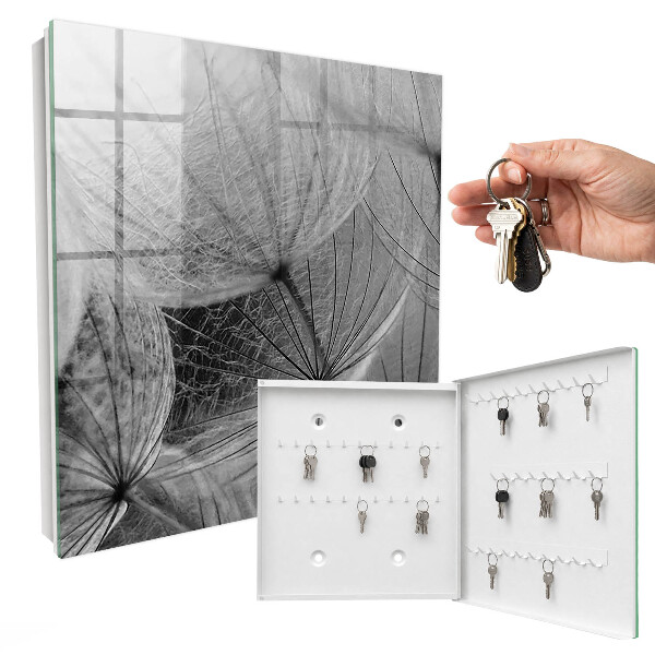 Key storage box Dandelion seeds