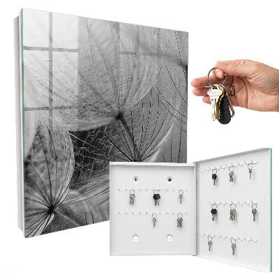 Key storage box Dandelion seeds