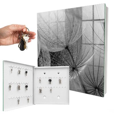 Key storage box Dandelion seeds