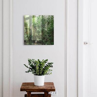 Key cabinet for wall Spider web in the forest
