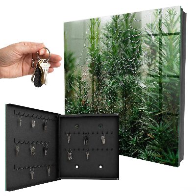 Key cabinet for wall Spider web in the forest
