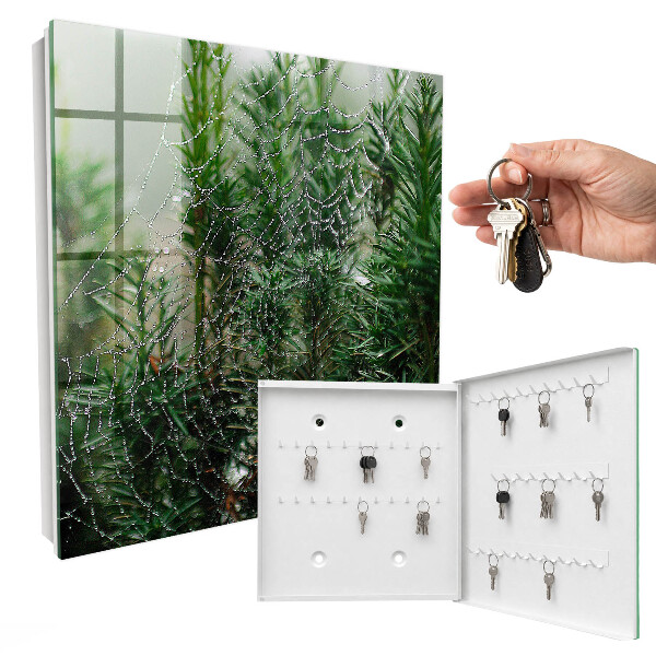 Key cabinet for wall Spider web in the forest