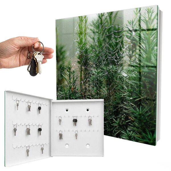 Key cabinet for wall Spider web in the forest