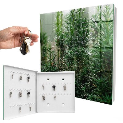 Key cabinet for wall Spider web in the forest