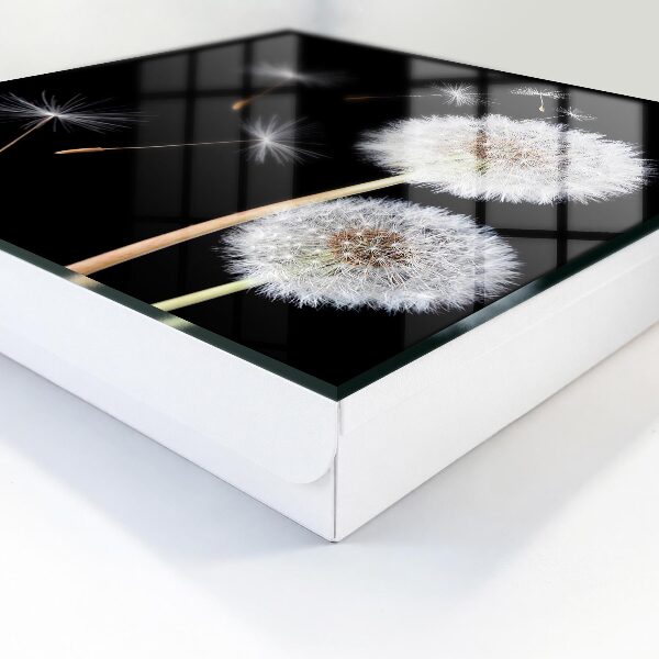 Key storage box Delicate dandelions