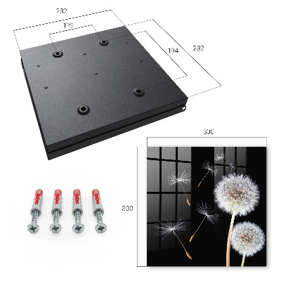 Key storage box Delicate dandelions