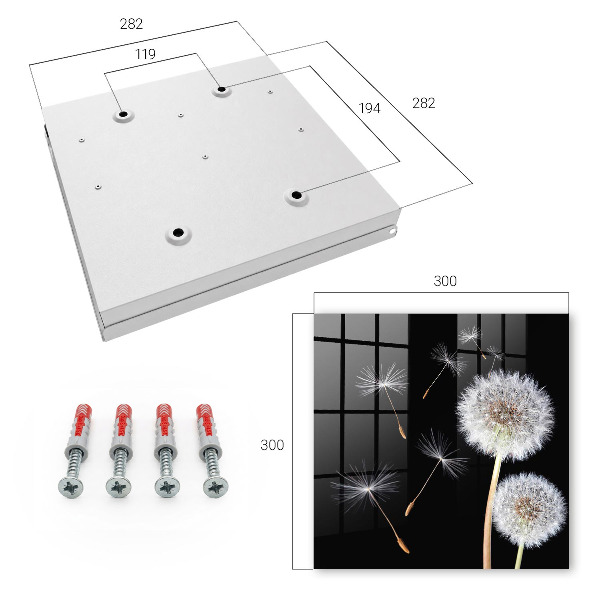 Key storage box Delicate dandelions