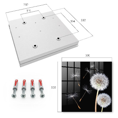 Key storage box Delicate dandelions