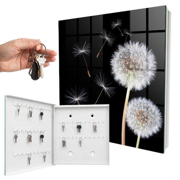 Key storage box Delicate dandelions