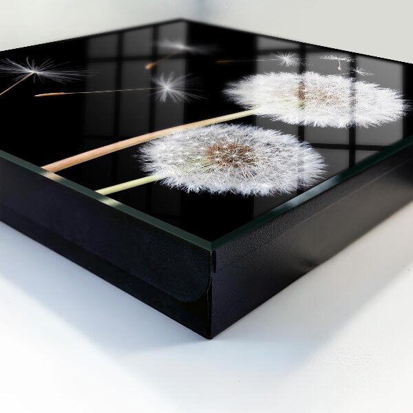 Key storage box Delicate dandelions