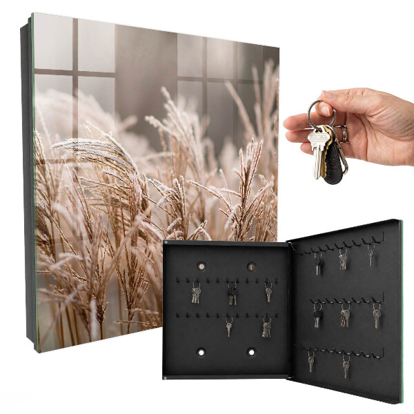 Key storage box Frosty grass