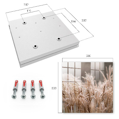 Key storage box Frosty grass