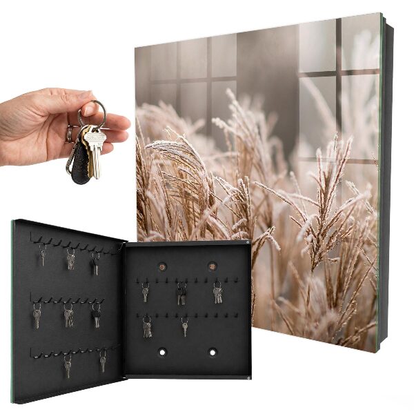 Key storage box Frosty grass