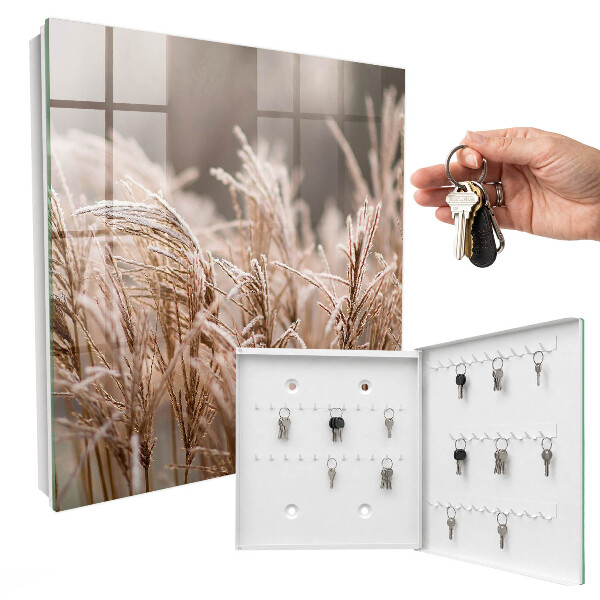 Key storage box Frosty grass