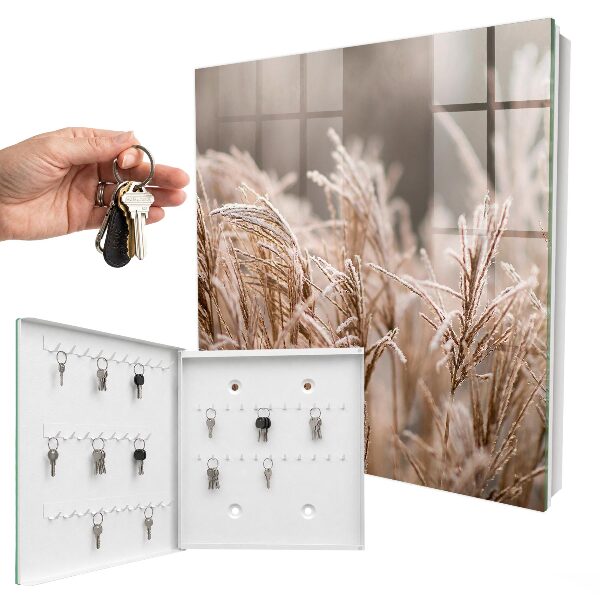 Key storage box Frosty grass