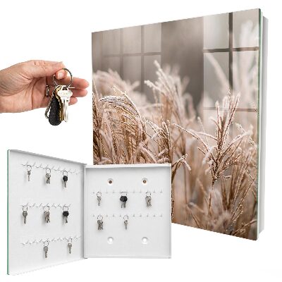Key storage box Frosty grass
