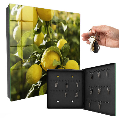 Key cabinet for wall Juicy freshness