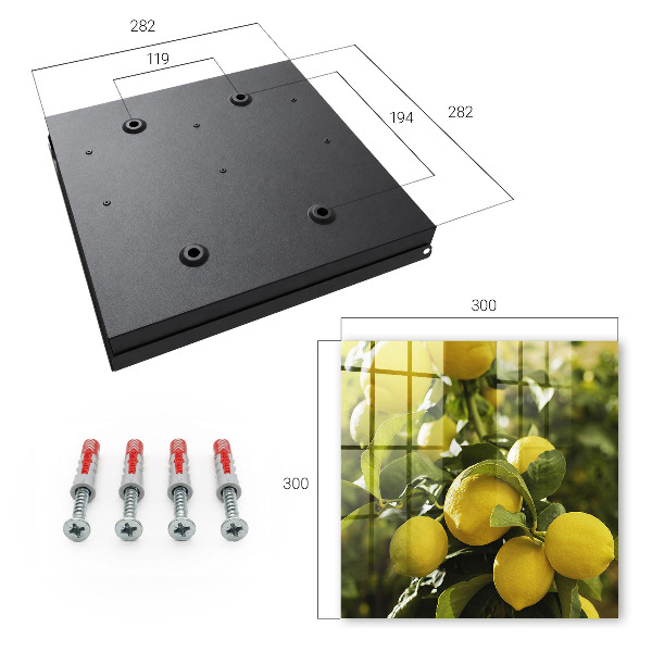 Key cabinet for wall Juicy freshness