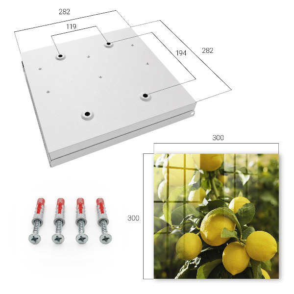 Key cabinet for wall Juicy freshness