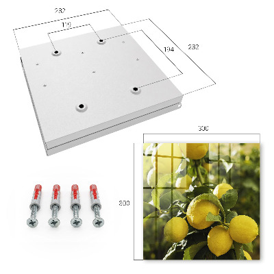 Key cabinet for wall Juicy freshness