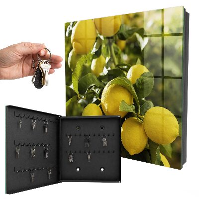 Key cabinet for wall Juicy freshness