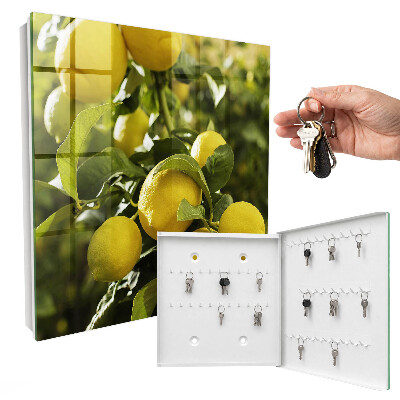 Key cabinet for wall Juicy freshness