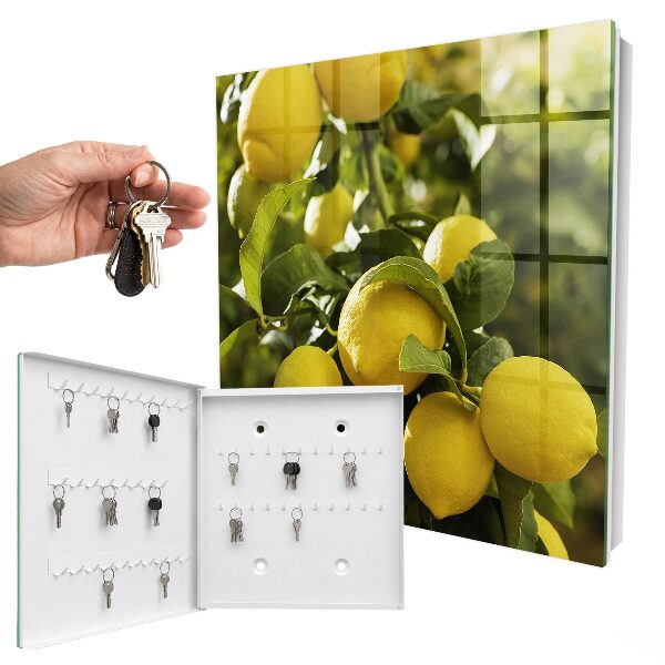 Key cabinet for wall Juicy freshness