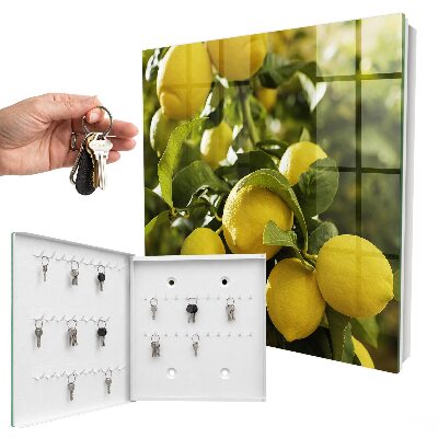 Key cabinet for wall Juicy freshness