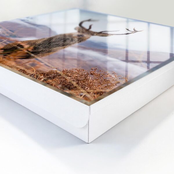 Key cabinet for wall Mountain deer