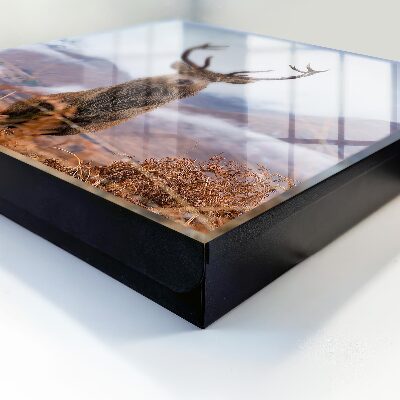 Key cabinet for wall Mountain deer